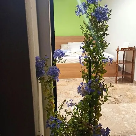 Appartement Sunny Kalamata