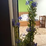 Apartman Sunny Kalamáta