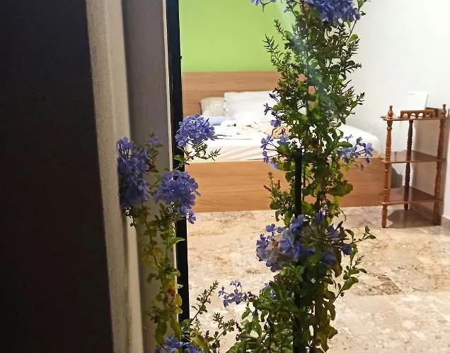 Apartmán Sunny Kalamata